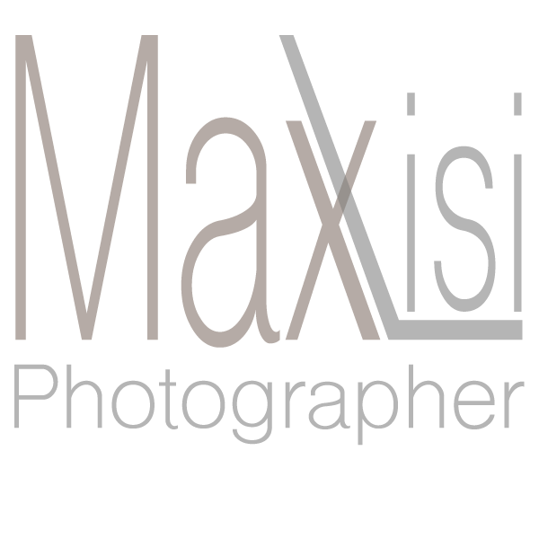 Logo-max-lisi-solo-png 